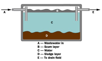 Fosse septic tank